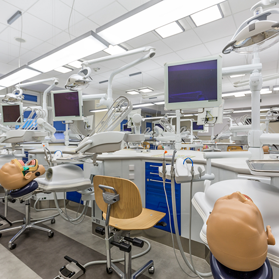 Row of practice dental patient robots at a dental school